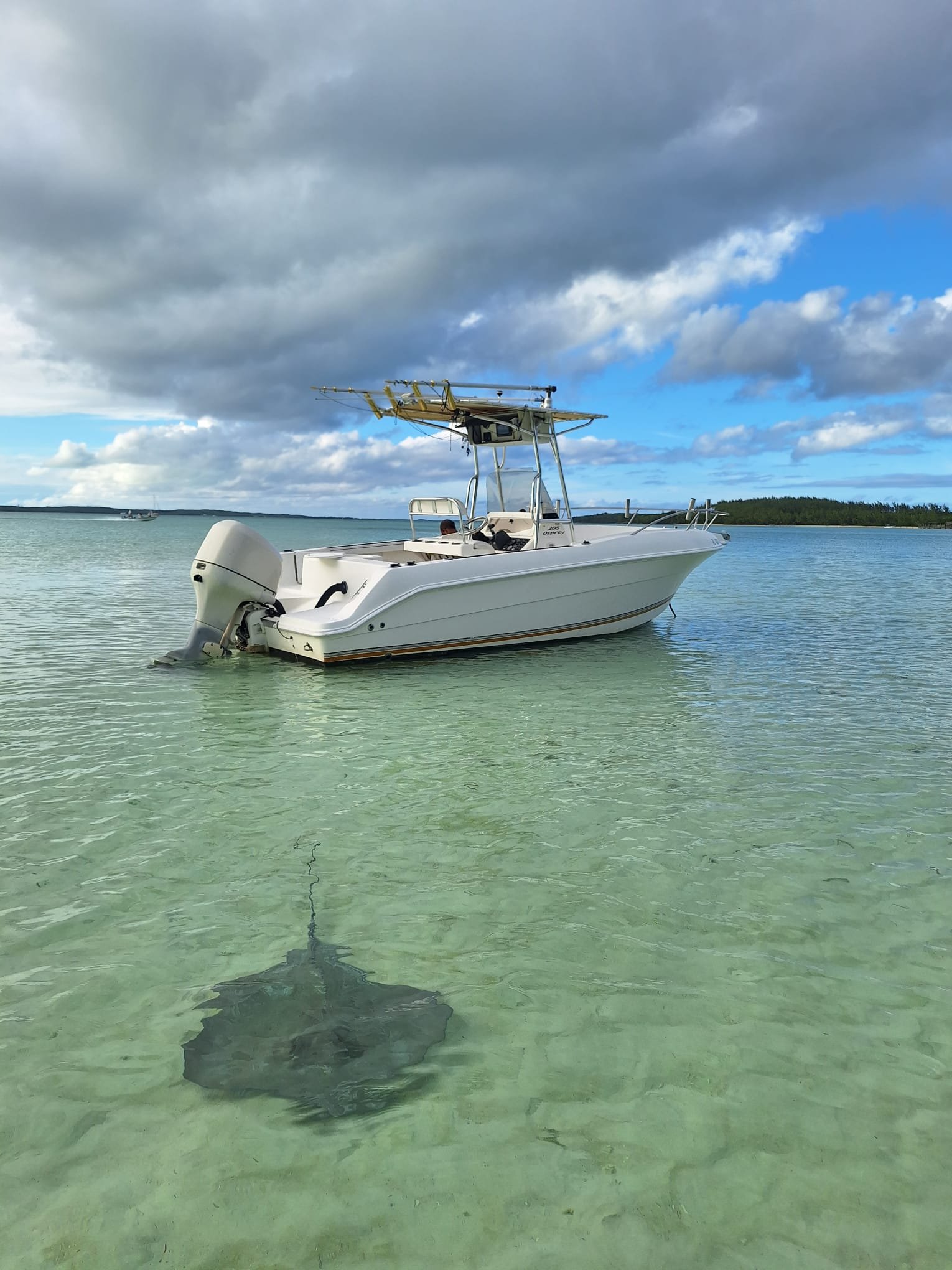 DC Sport Boat Charter