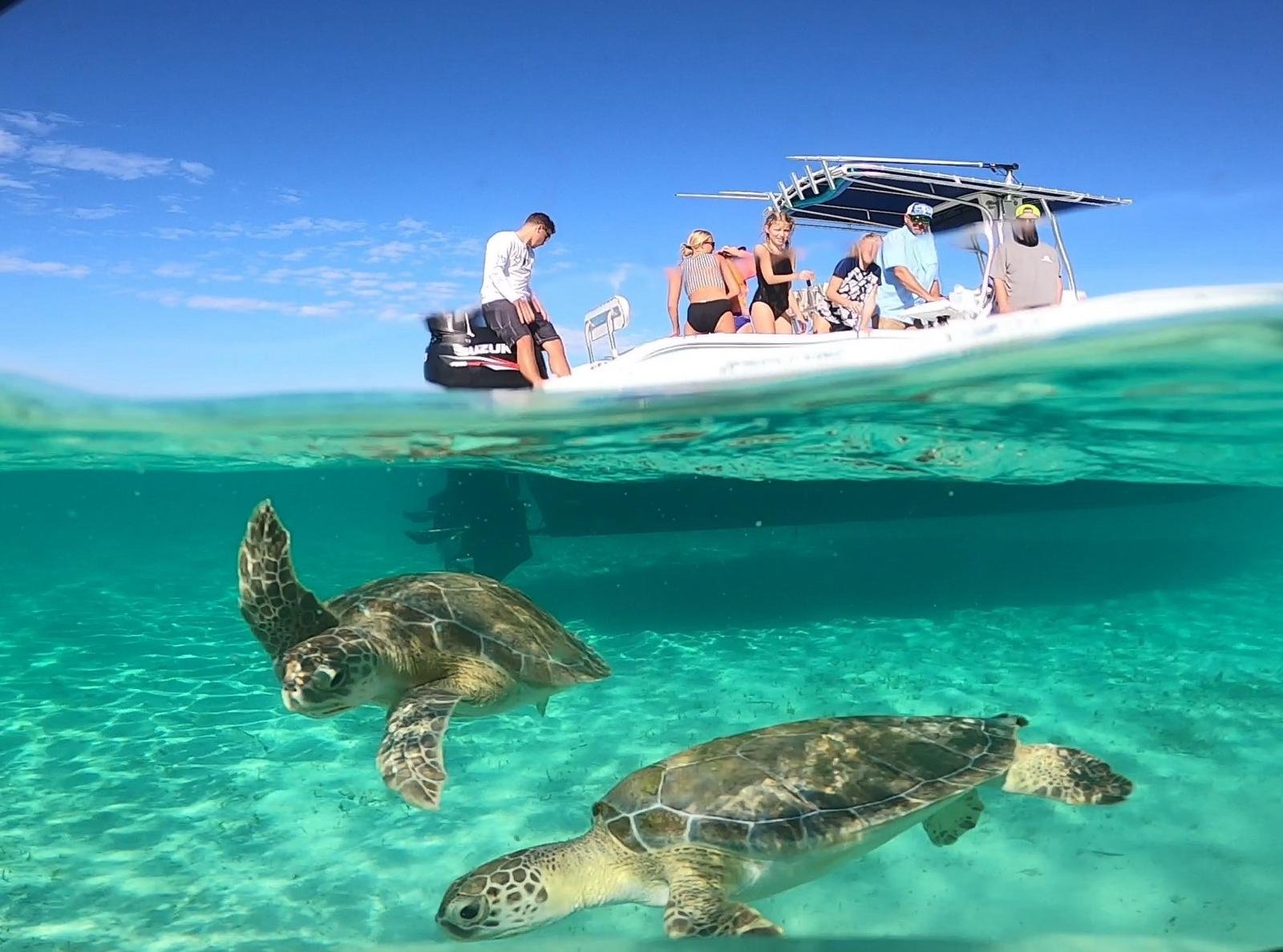 Exotic Excursions 242