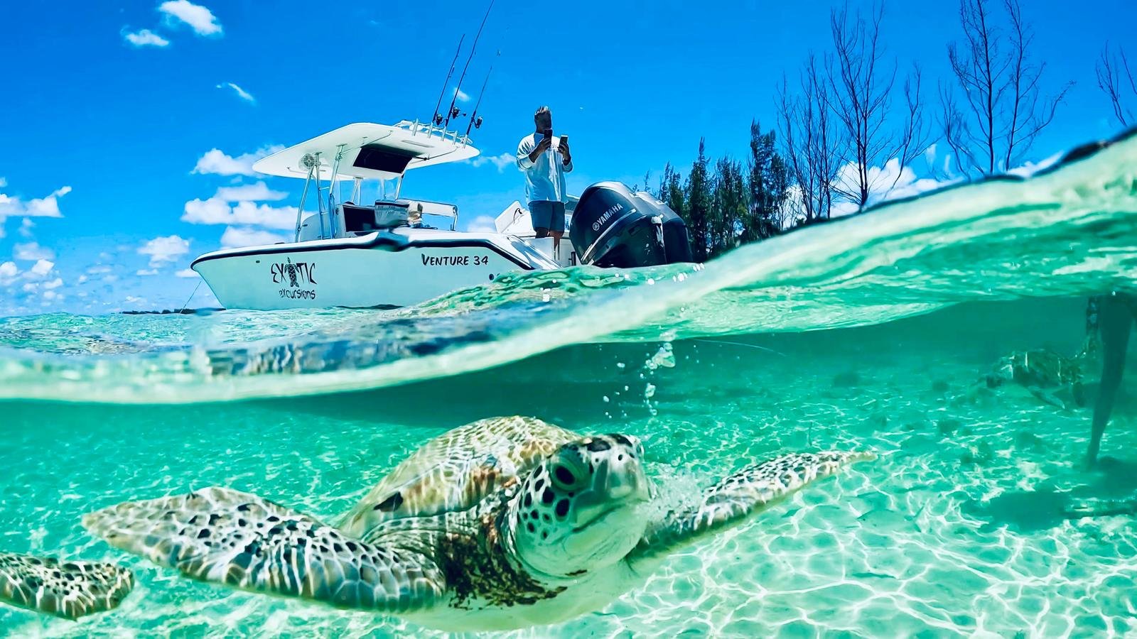 Exotic Excursions242